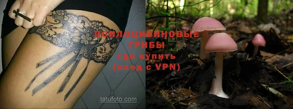 ALPHA-PVP Майский