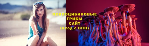 apvp Орск