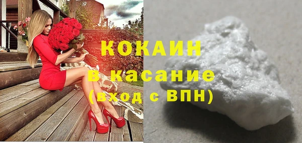 стаф Великий Новгород