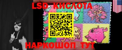 прущие грибы Кандалакша