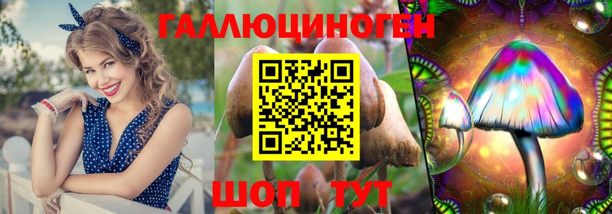 Псилоцибиновые грибы мицелий  Вход с VPN  Сальск 